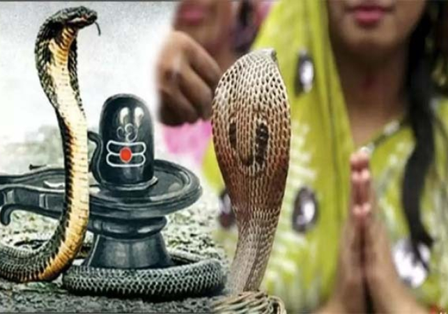 Tv 24 Network: Best News Channel in India